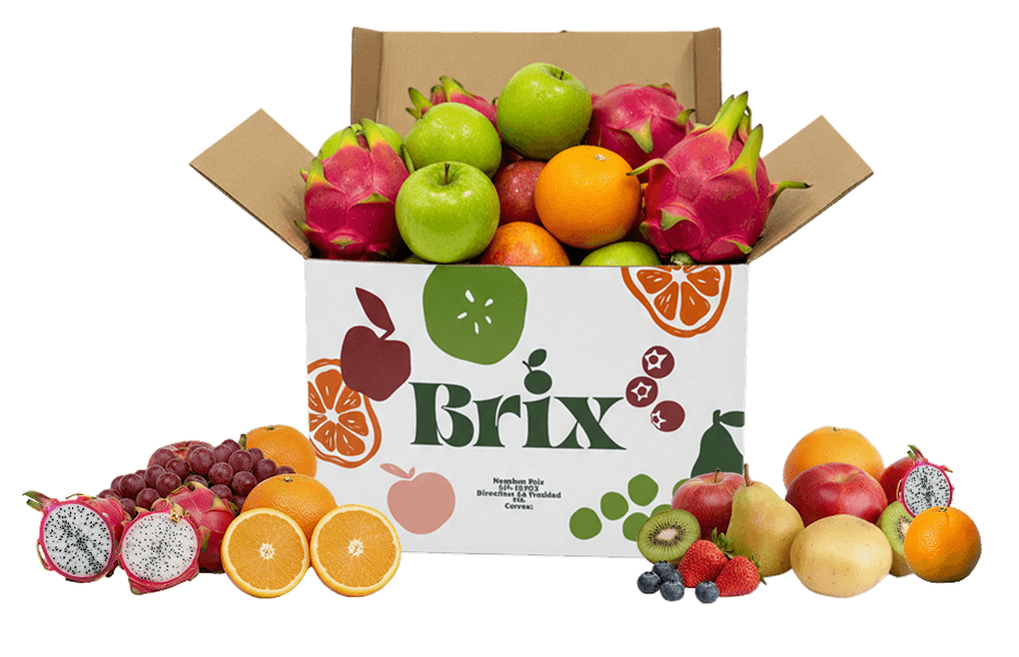 brix inicio pedidos online desktop