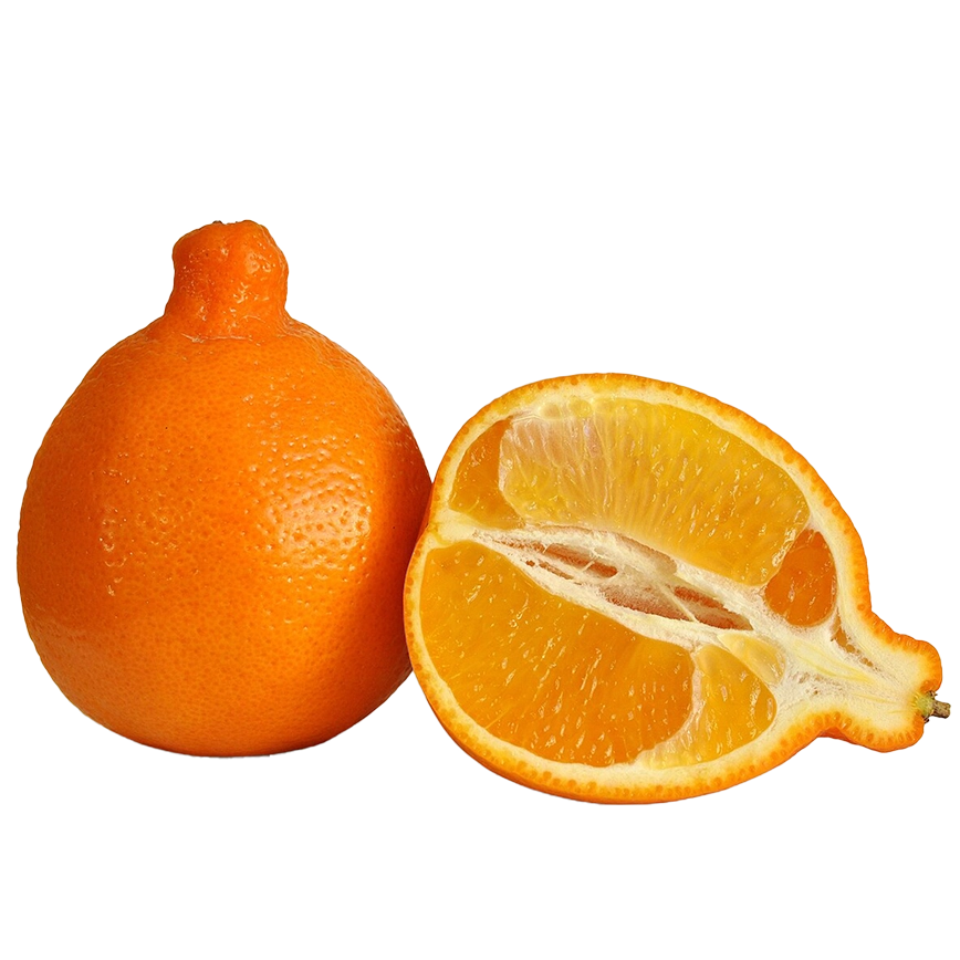 brix nuestras frutas tangelo desktop
